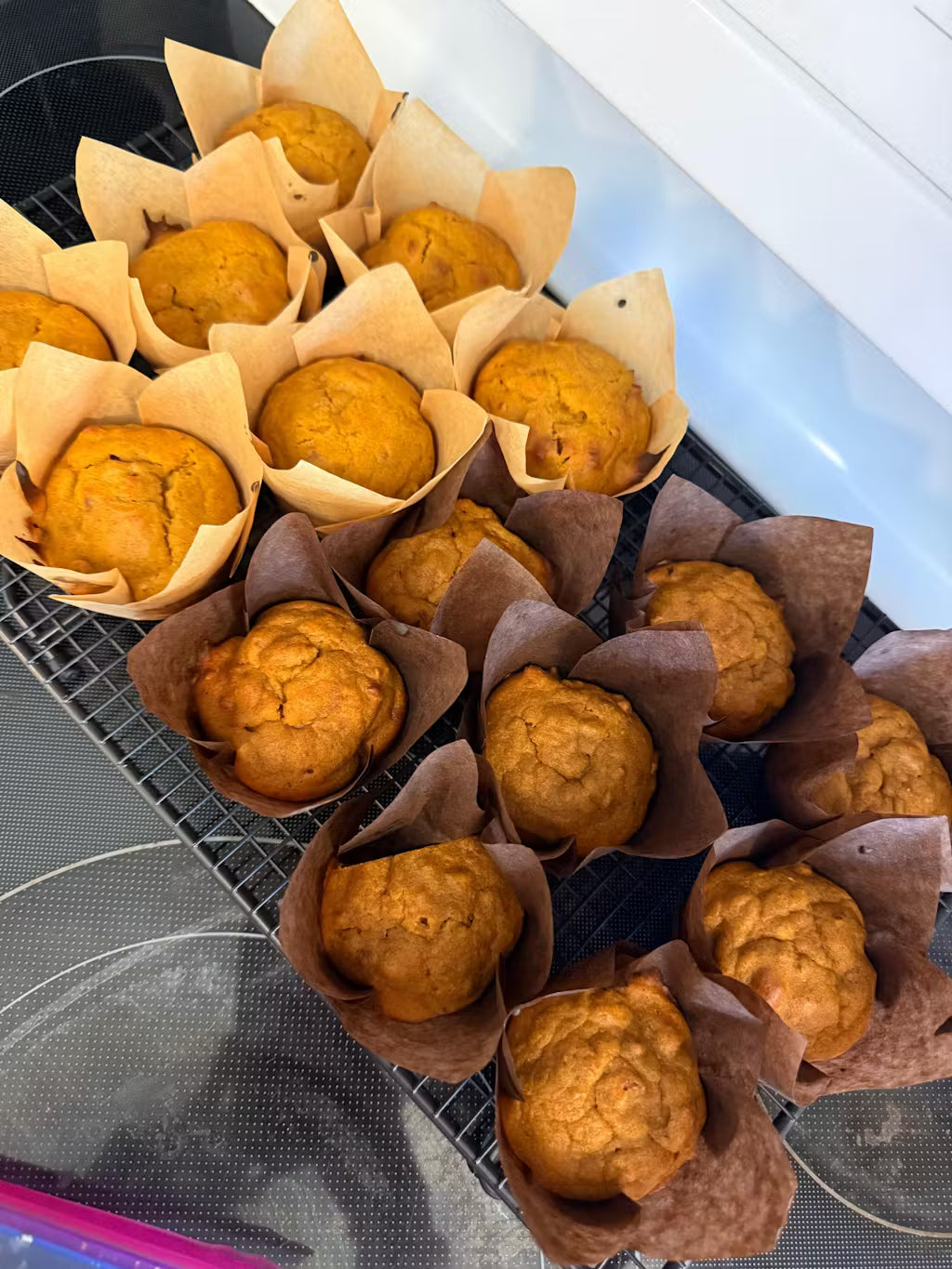 Elevate Protein Flour