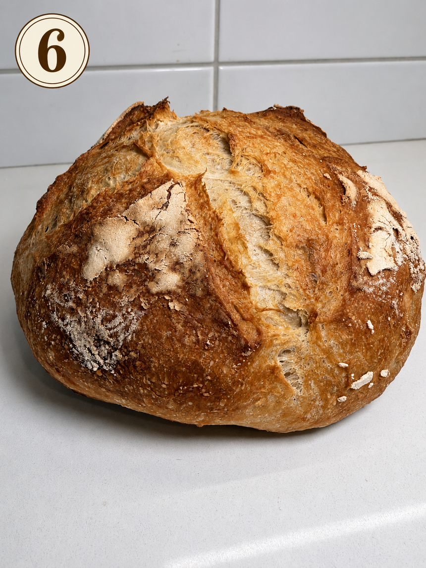Sourdough – photo 6